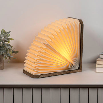 Darla Modern Art Deco Paper Half Pleated Fan LED Table Lamp